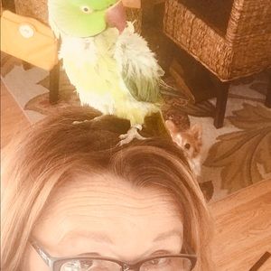 Meet your Posher, Lise